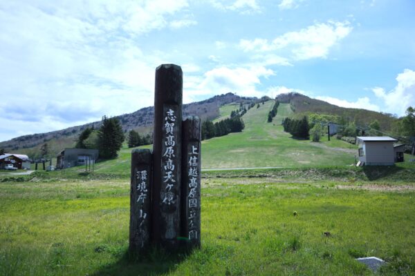 高天ヶ原湿原