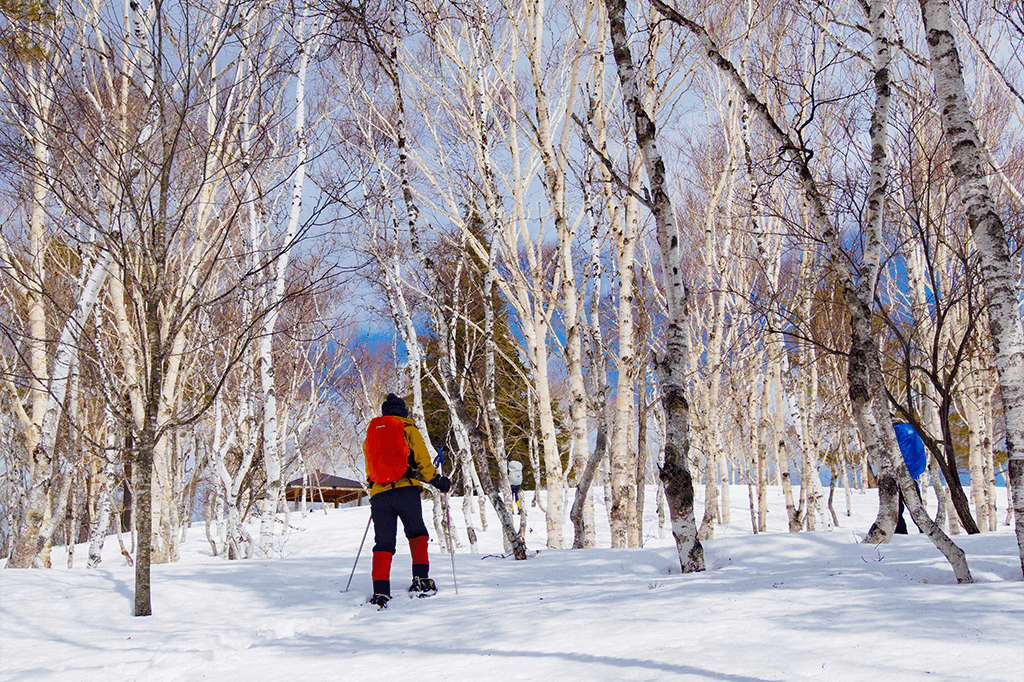 志賀高原の冬の大自然で癒される「スノーシュー体験」